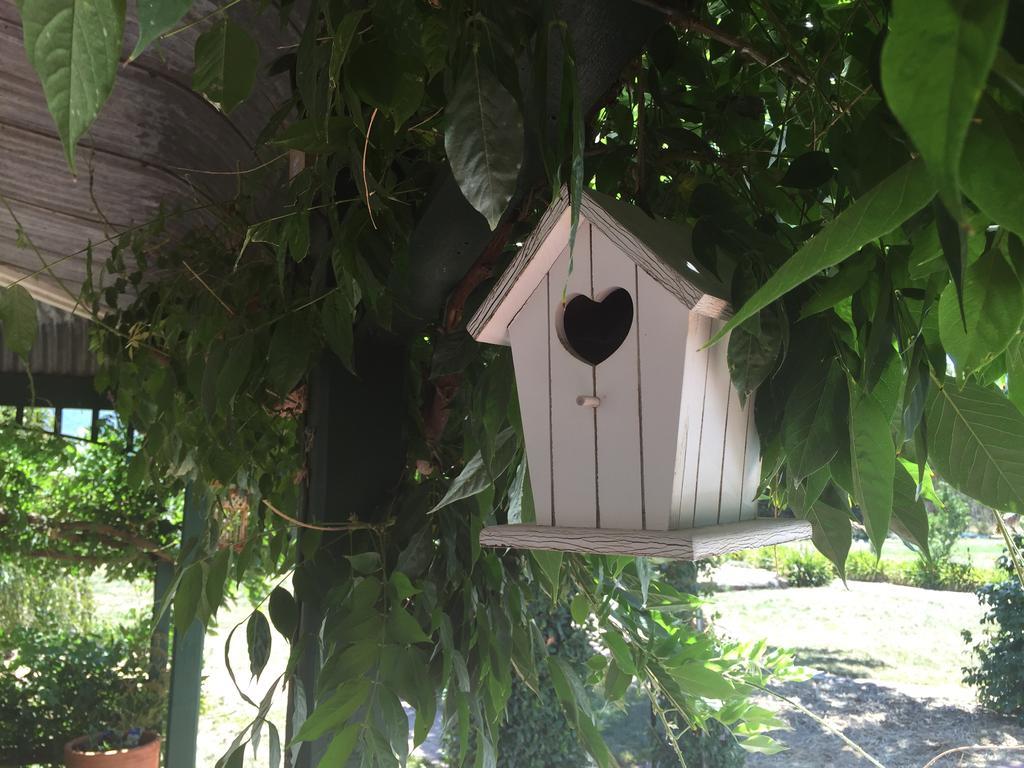 Birchwood Cottage Yarck Zewnętrze zdjęcie